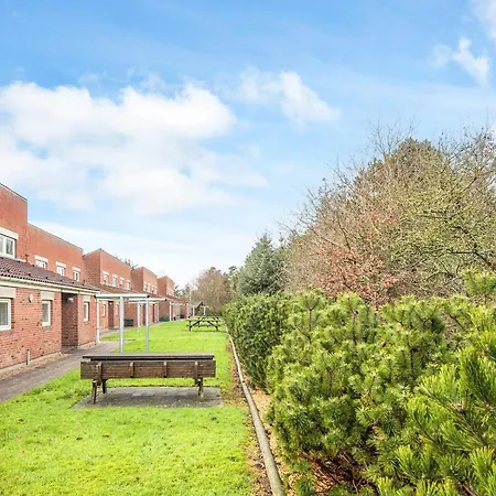 6 Person In Blavand-by Traum