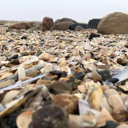 6 Person In Blavand-by Traum * Blåvand